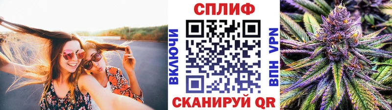 Бошки Шишки MAZAR Сурск